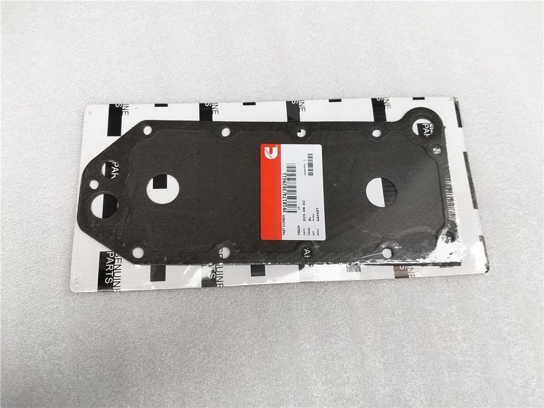 Diesel Engine Parts Seal Oil Cooler Core Gasket 3918174 3929011